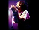 Plastic tree 【ペットショップ】