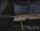 【CoD:MW2】無口な友人とModern Warfare2実況プレイ Part10