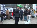 1.11 【チャンネル桜】 売国議員を落選させよう！街頭宣伝活動 (3/10)