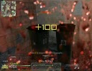 [MW2PC]その19　マルチ　TDM　FAL