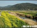 【オリジナル曲/インスト】陽だまりの川辺【ニコニコインディーズ】