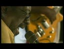 James Blood Ulmer - Little Red Rooster