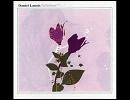 Daniel Lanois  Frozen