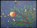 Laura Veirs - July Flame