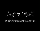 【実況】ハートフルofチキン バイオハザード４激ヌルハンドガン縛りpart10