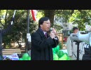 1.16 【チャンネル桜】 民主党大会に抗議する国民大行動 (2/14)
