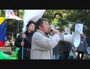 1.16 【チャンネル桜】 民主党大会に抗議する国民大行動 (4/14)