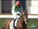 3歳500万_ザタイキ