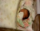 Sachi Born