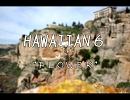 hawaiian6　FLOWER　和訳