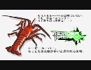 【A4】ボーダーブレイク戦線報告Vol.033【脱ルーパー？】