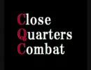 ＬＥＧＯでＣＱＣ