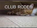CLUB RODEO