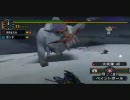 あまのじゃくがボウガンだけ担いでMHP2Gを実況プレイ　村上位その8