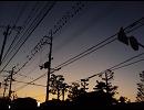 【ニコラップ】トラック提供２【mosqui】