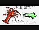【A4】ボーダーブレイク戦線報告Vol.036【脱ルーパー？】
