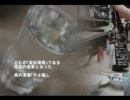 広島最高の店｢やよ福｣に行ってみた
