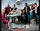 Grey's Anatomy Volume 2 1/2