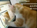 【ニコ生】コメントを捕まえたい猫