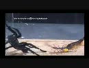 You Tube　より　虫皇帝　蜘蛛VSいろいろ