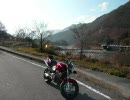 my bike life ニコツー～？？