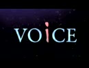 【歌ってみた】VOiCE【久作】