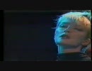Anna Domino - Land Of My Dreams