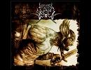 Legacy of Vydar - Melody Of Hope