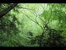 【DTM】気合を入れてゲームの戦闘曲を作ってみた【オリジナル曲】