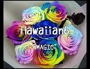 Hawaiian6  MAGIC  和訳