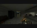 【HL2DM】Zombies (@ Phoneburnia)  area51編