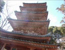 【そうだ奈良へ行こう１】薬師寺、唐招提寺etcさんぽ
