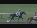 ソルスティス ４戦目（2010年01月06日東京3R_簡易編集）