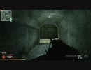 週末ゲーマーのMW2　TDM