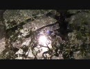 【DS-10+】tech04c【自作でカオス】