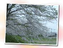 人生いつも～お蔭様