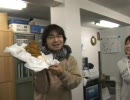 小川康弘's Birthday ＜うんこ似ケーキでお祝い＞