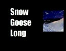 Snow Goose ロング約30分バージョン
