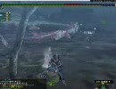 ノノ捕獲。（テストうｐ）