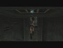 そのうちがとうとう【Tomb Raider: Anniversary】実況その37