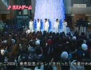 冬どこ
