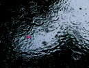 【ニコラップ】 雨宿り 【オンレイ】