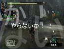 MHP2G【Honey Hunter】G級ナルガクルガ二頭 ハニハンメンバー Vol.1
