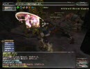 【FF11】白魔道士が行く鏡割り～ハルブーン・後編～