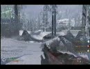 ［CoD:MW2］ 鮪(in NiCoD祭２）のTDM！特別編① ［ToRo］