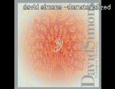 david simons -dematerialized