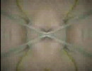 Mysterious  Flower2