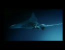 ACE COMBAT 5 ~The Unsung War~  SCENE⑧