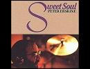 Peter Erskine    In Your Own Sweet Way