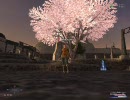 【ＦＦ１１】やるなら今しかねぇ！Ｚと思ったので実況プレイ part.31